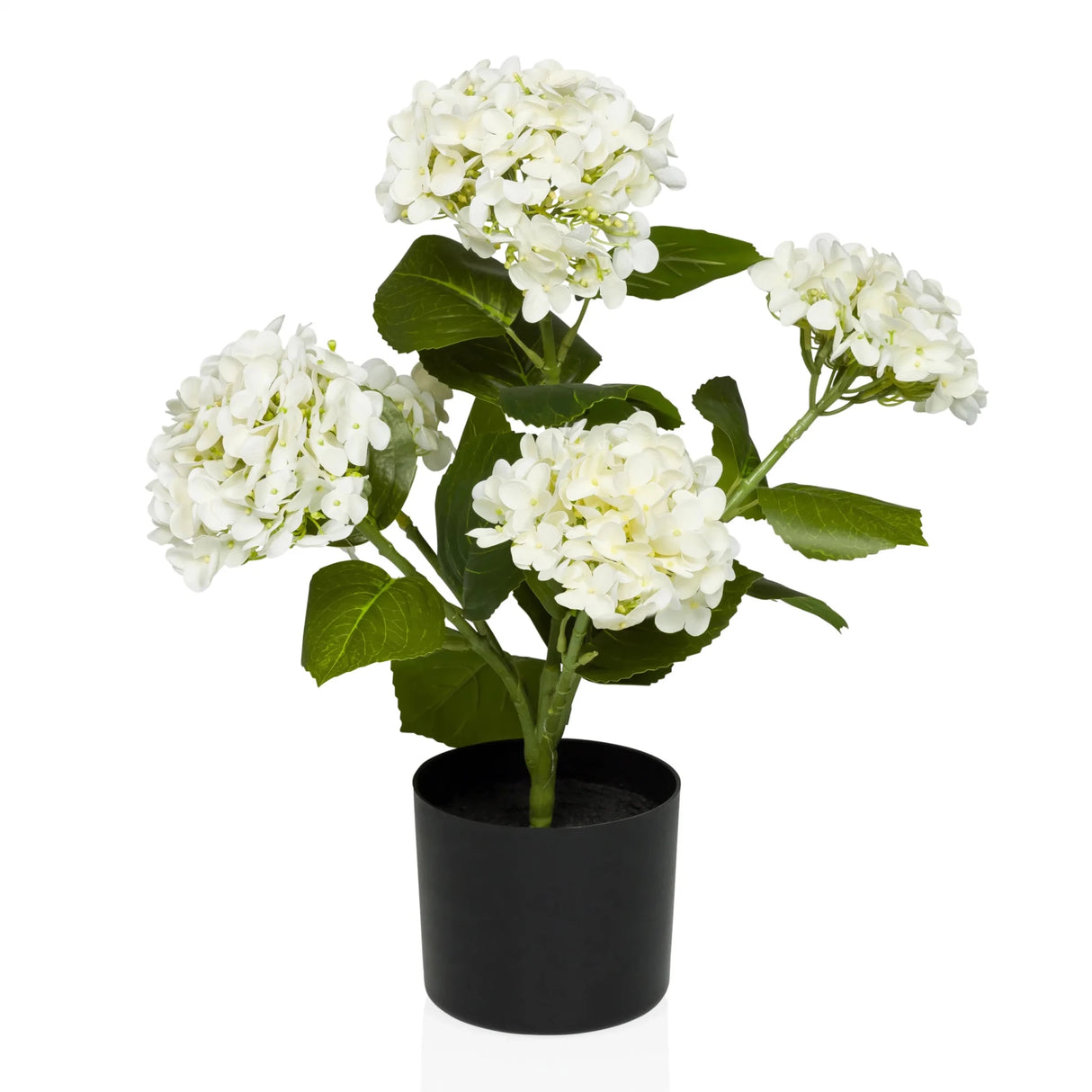 HYDRANGEA - Tekokasvi 