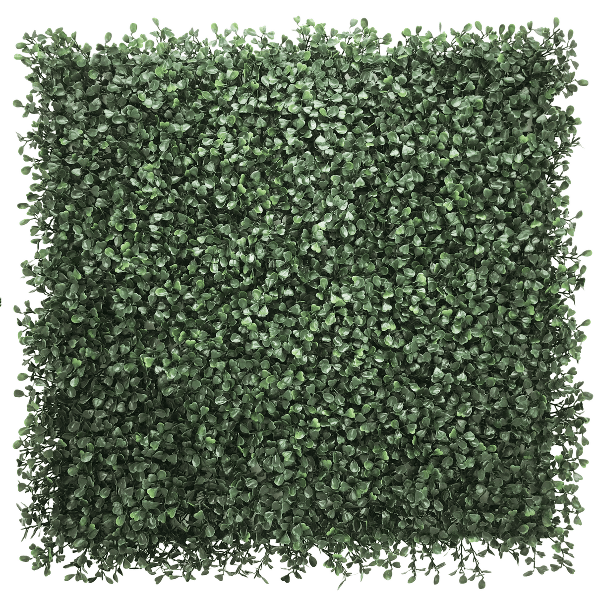 LEAFLUXE 1 - Kasvimatto 