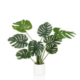 MONSTERA I - Tekokasvi 
