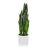 Tekokasvi SANSEVIERIA vihreänä pitkillä lehdillä valkoisessa istutusruukussa, valmistaja hjh OFFICE