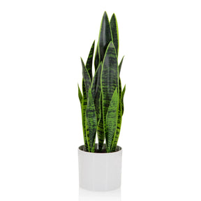 Tekokasvi SANSEVIERIA vihreänä pitkillä lehdillä valkoisessa istutusruukussa, valmistaja hjh OFFICE