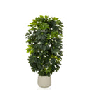 Tekokasvi Schefflera 2 vihreänä tuuheilla lehdillä yksinkertaisessa beigessä ruukussa, valmistaja hjh OFFICE