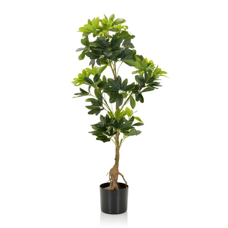 Vihreä Tekokasvi SCHEFFLERA kiiltävillä lehdillä mustassa ruukussa, valmistaja hjh OFFICE